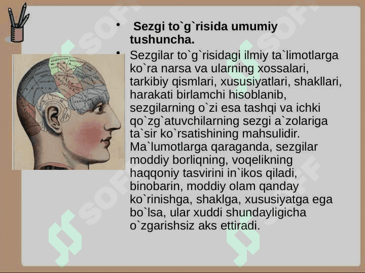 SEZGI turlari haqida ma`lumot 3