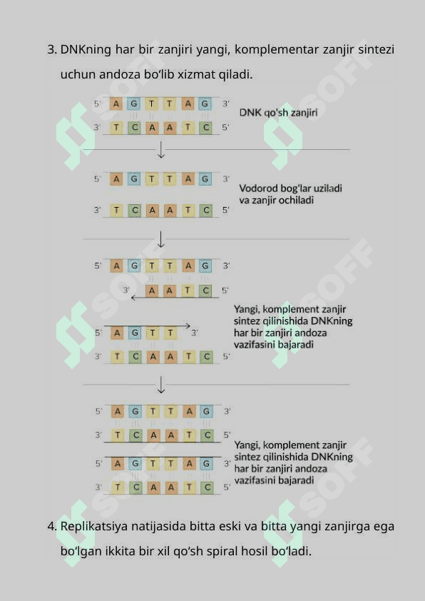 RNK va DNK tuzilishi bo`yicha ma`lumot 6