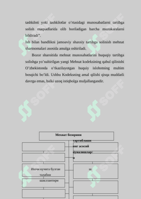 MEHNAT BOZORI TARTIBGA SOLISHNING HUDUDIY ASOSLARI 6