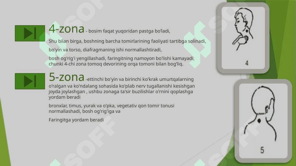 Biologik faol nuqtalarning artikulatsiya a’zolari muskullari bilan funksional bog’liqligi 4