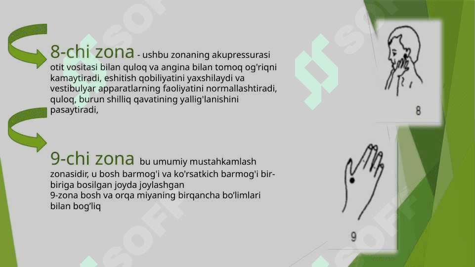 Biologik faol nuqtalarning artikulatsiya a’zolari muskullari bilan funksional bog’liqligi 6