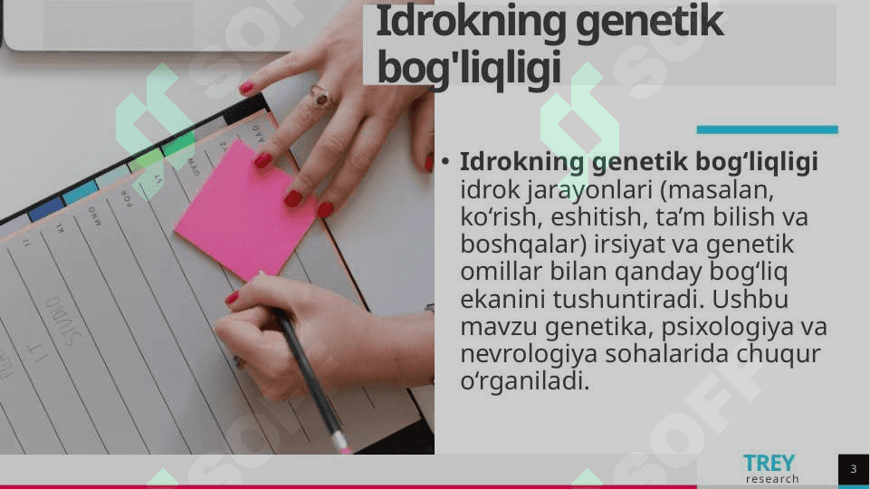 Perseptiv obrazni tashkillashtirish 3