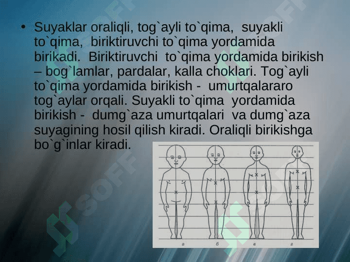 To’g’ri qaddi-qomat nima 7