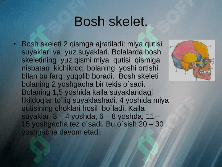 To’g’ri qaddi-qomat nima 8