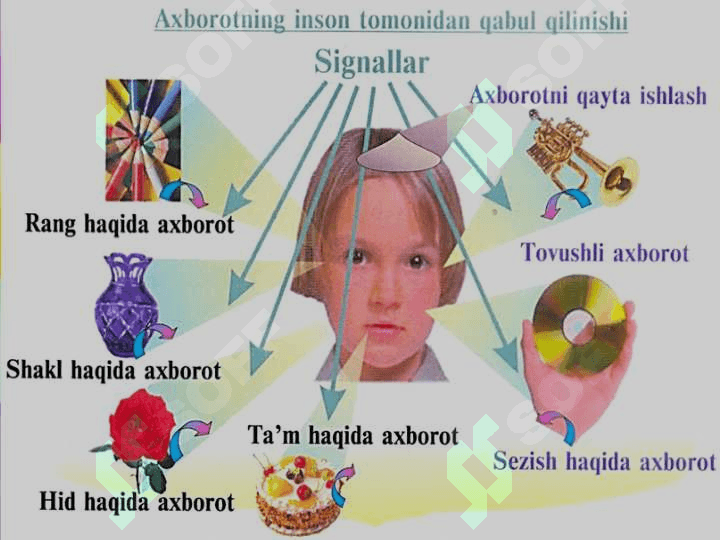 Axborot va uning turlari, fan uchun ahamiyati xususiyatlari 4