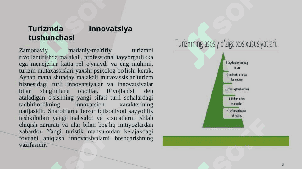 Mavzu:Turizmda innovatsiya tushunchasi 3