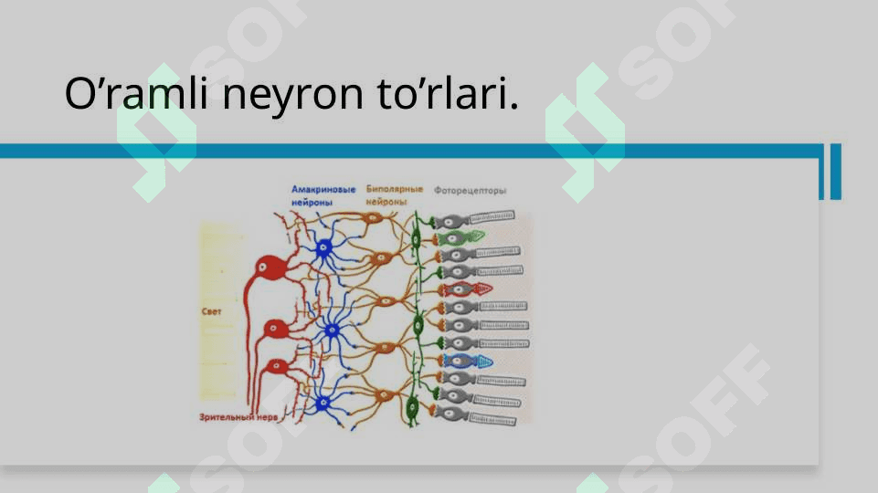 O‘ramli (Convolutional) neyron to‘rlari. CNN. 4
