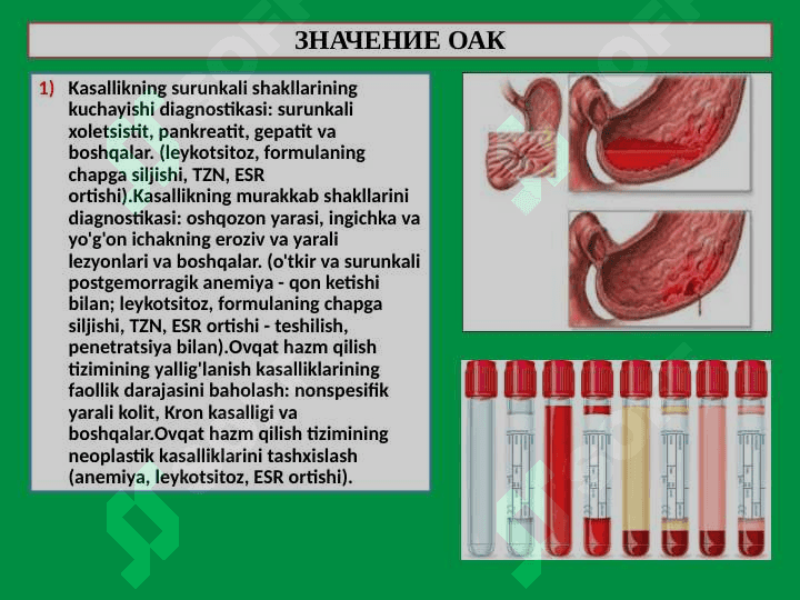 Ovqat hazm qilish a'zolarini o'rganishning usullari 4