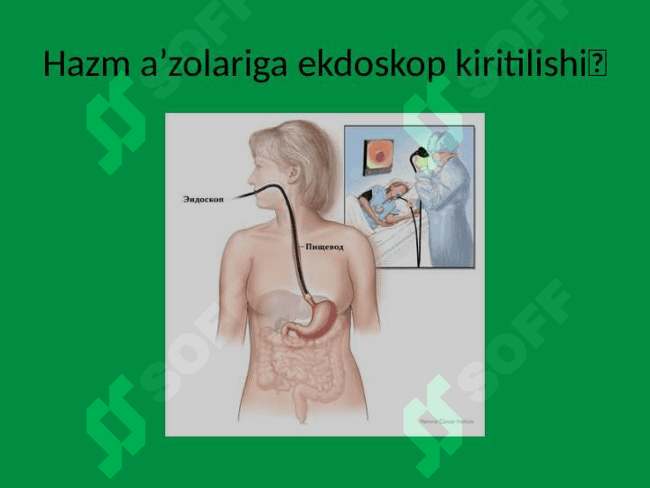 Ovqat hazm qilish a'zolarini o'rganishning usullari 5