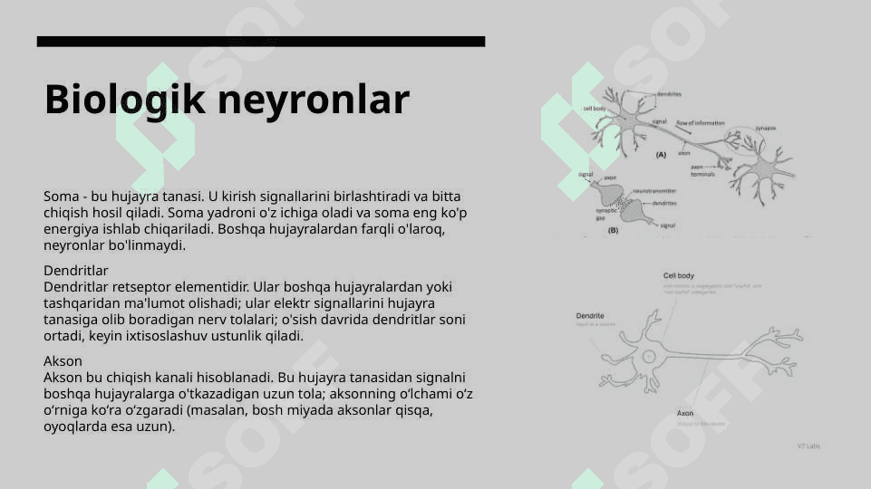 Sun’iy neyron to‘rlari 5
