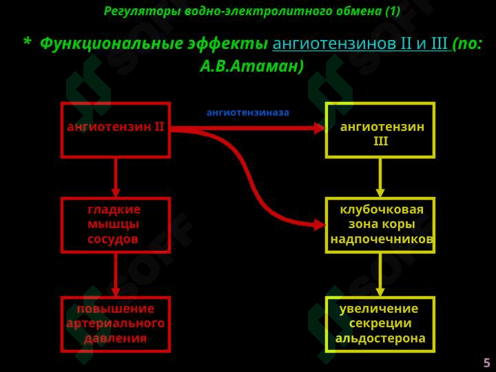 Патофизиология водно-солевого обмена 5