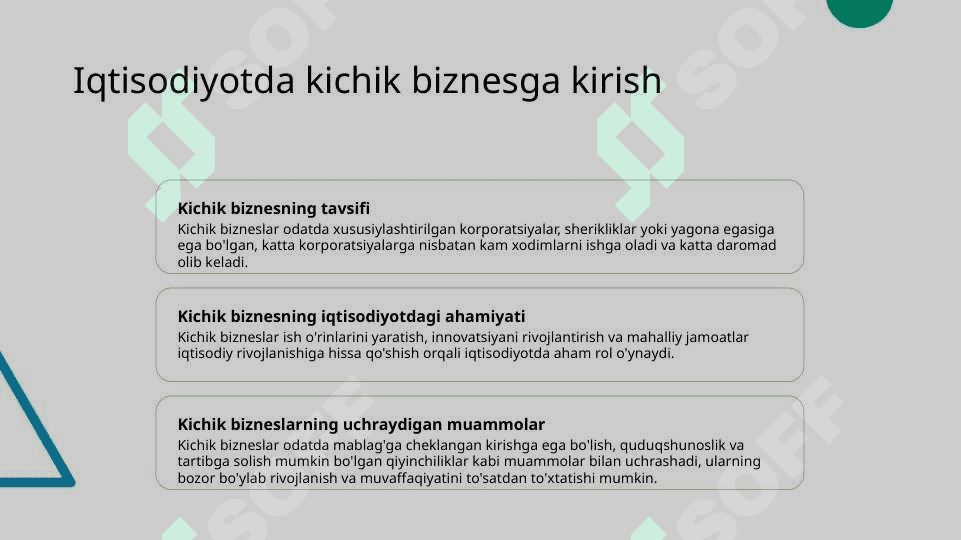 Iqtisodiyotda kichik biznes 2