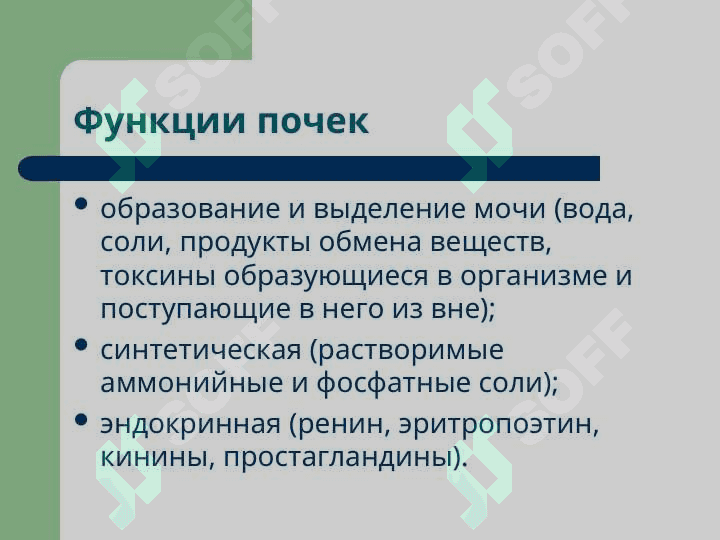 Патофизиология почек 2
