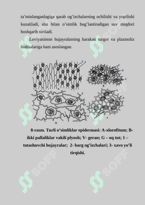 QOPLOVCHI TO'QIMANING  TUZILISHI VA AHAMIYATI 4