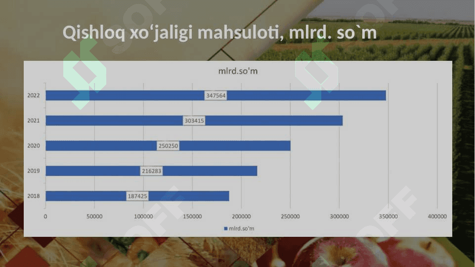 Qishloq xo'jaligi 6