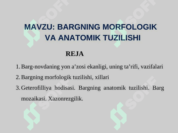 BARGNING MORFOLOGIK  VA ANATOMIK TUZILISHI 2