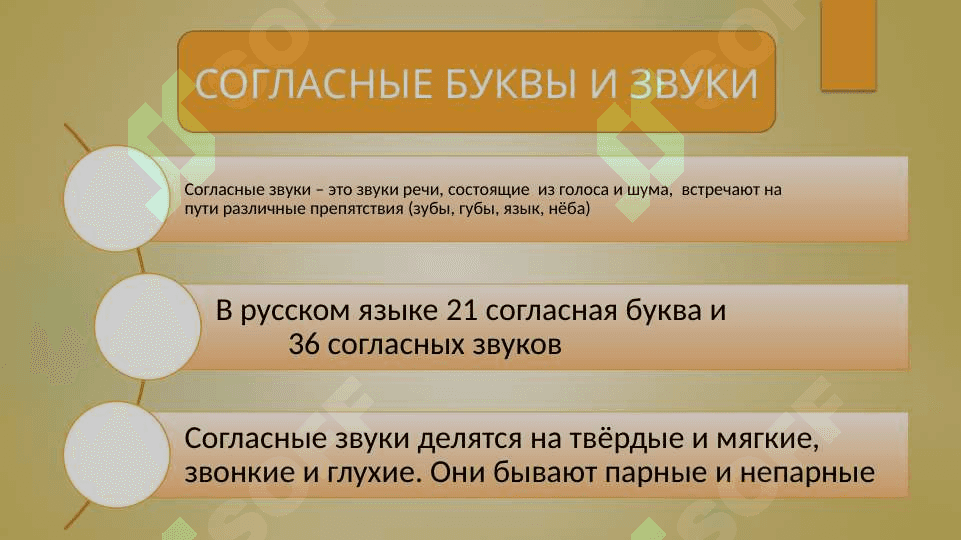 Фонетические и орфоэпические нормы русского языка 5