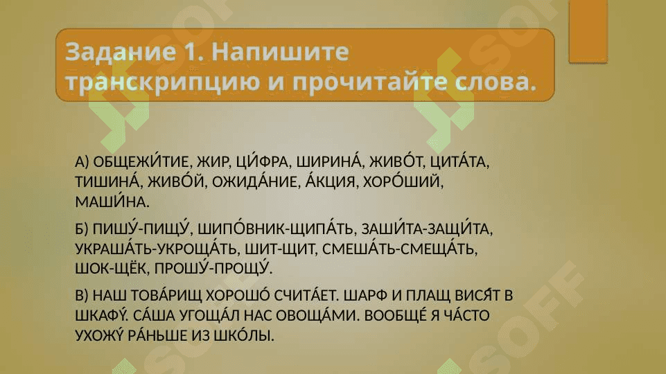 Фонетические и орфоэпические нормы русского языка 8
