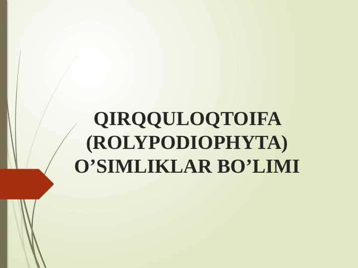 QIRQQULOQTOIFA (ROLYPODIOPHYTA) O’SIMLIKLAR BO’LIMI