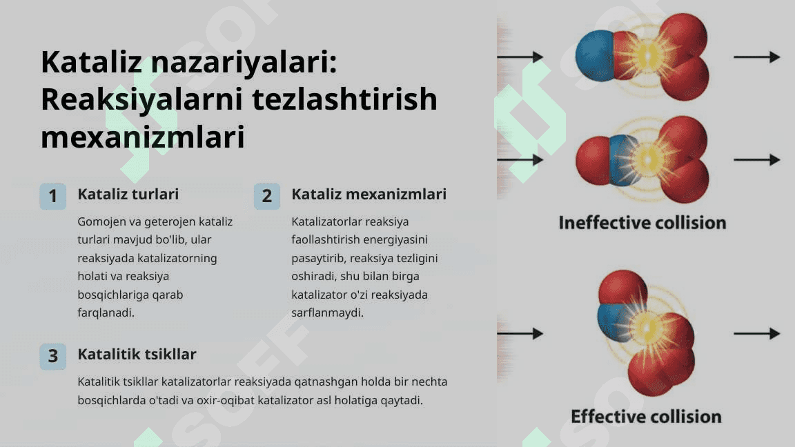 Biokimyo asoslari: Biogen elementlar va fermentlar 3