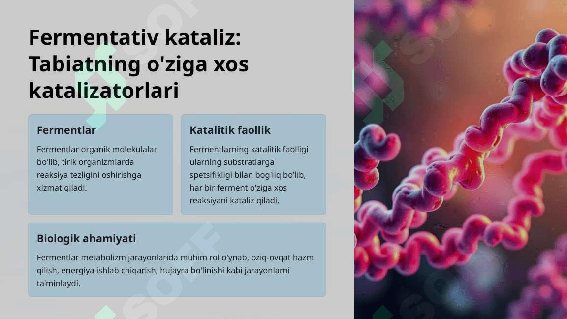 Biokimyo asoslari: Biogen elementlar va fermentlar 4