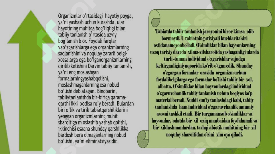 Tabiiy tanlanish va uning natijasi hamda shakllari 2