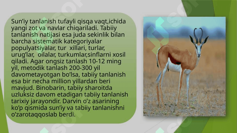 Tabiiy tanlanish va uning natijasi hamda shakllari 5