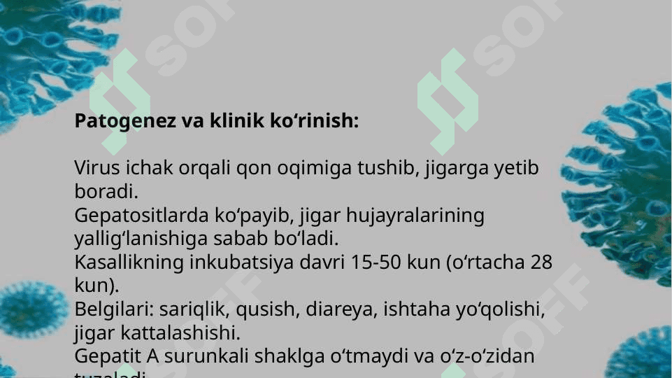 Gepatit A B C D E qo’zg’atuvchilari haqida maʼlumot 5