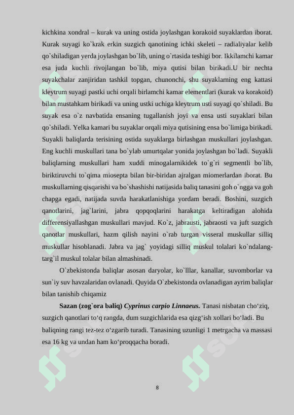 O'zbekiston_suv_havzalarida_ovlanadigan_baliqlar_kurs_ishi 8
