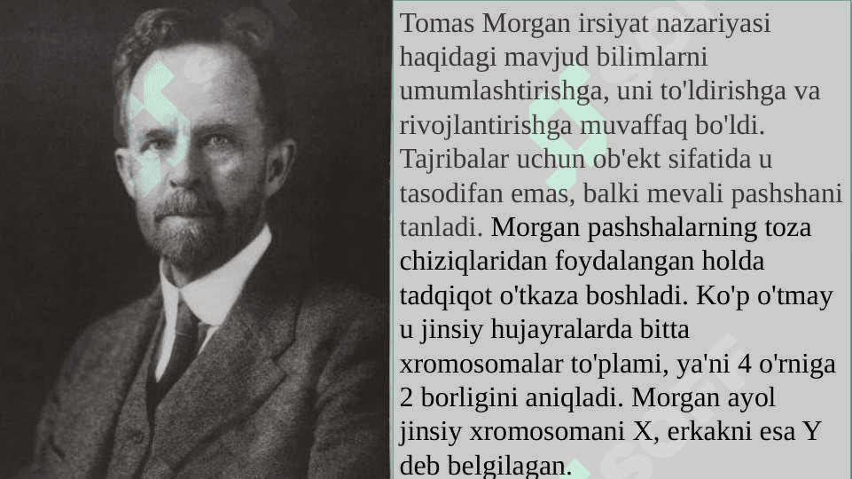 Irsiyatning xromosoma nazariyasi. Genlarning birikish holati, krossengover. Belgilarning jinsga birikkan holatda irsiylanishi.Tiriklikning molekulyar asoslari. Nuklein kislotalar va ularning irsiy belgilarini nasl naslga o’tishdagi roli. 3