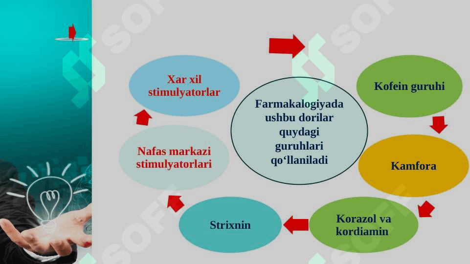 Markaziy asab tizimini qo‘zg‘atuvchi moddalar(hayvonlarda) 5