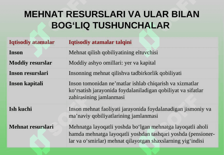 KORXONANING MEHNAT RESURSLARI 8