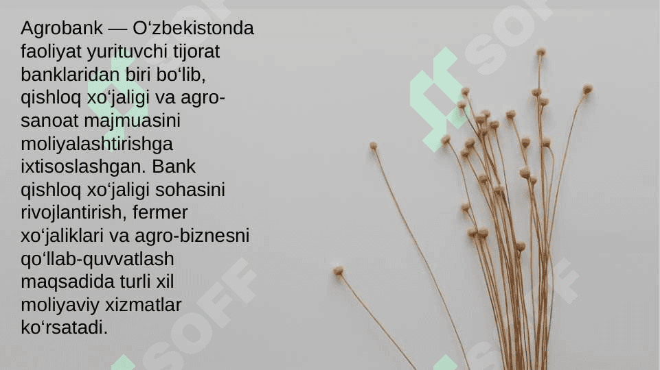 AGROBANK PREZENTATSIYA 3