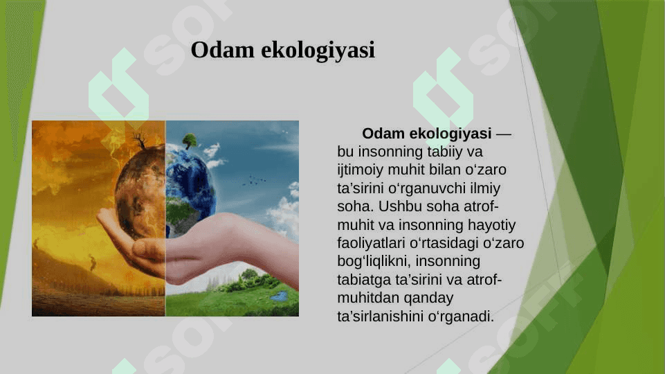 Odam ekologiyasi 2