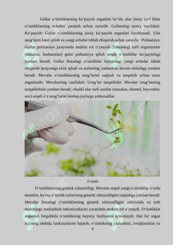 Floraning inson hayotidagi ahamiyati. Ôsimliklar organlari 8