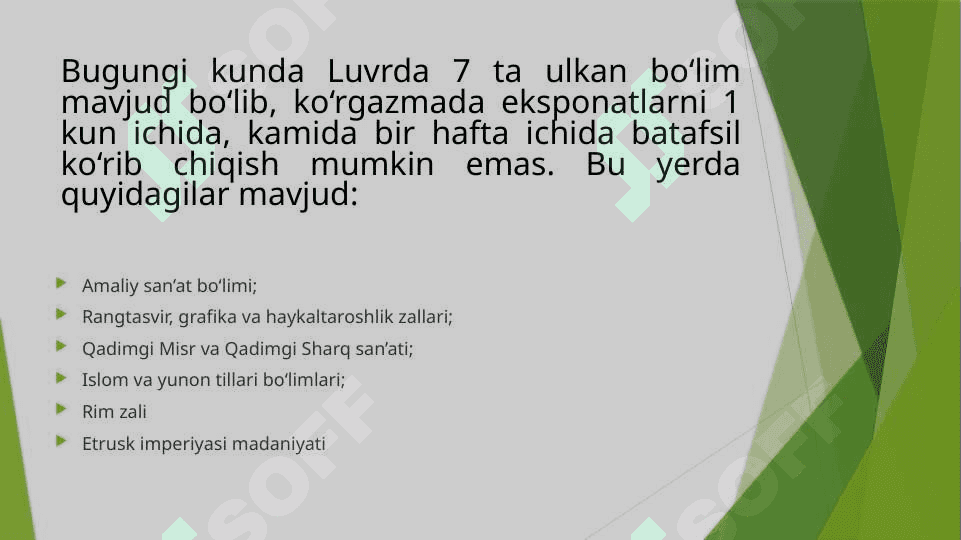Luvr muzeyi 4
