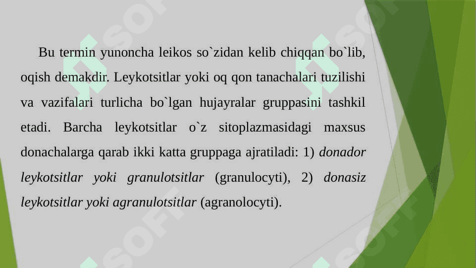 Leykositlar 3