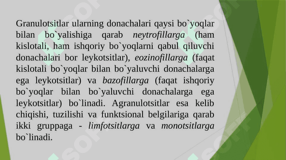 Leykositlar 4