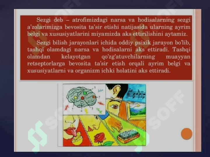 KASBIY FAOLIYATDA BILISH JARAYONLARI. 4