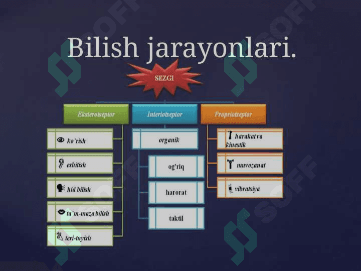 KASBIY FAOLIYATDA BILISH JARAYONLARI. 5
