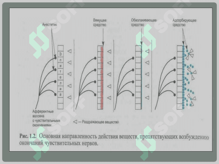 ASAB SISTEMASIGA TA`SIR ETUVCHI DORI (NEYROTROP) VOSITALAR 4