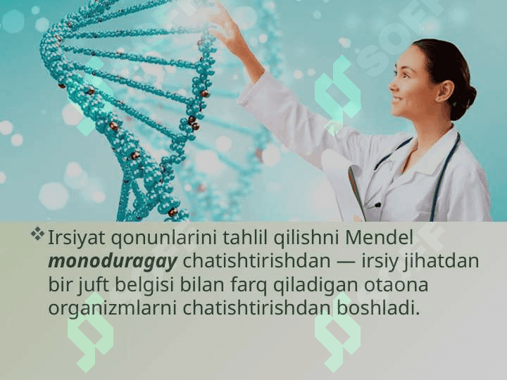 “Mendel qonunlari. Mendelning birinchi qonuni” mavzusida tayyorlaganDARS ISHLANMASI 2