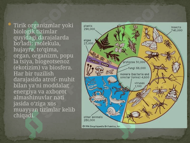 “Tiriklikning tuzilish darajasi” mavzusida tayyorlaganDARS ISHLANMASI 2