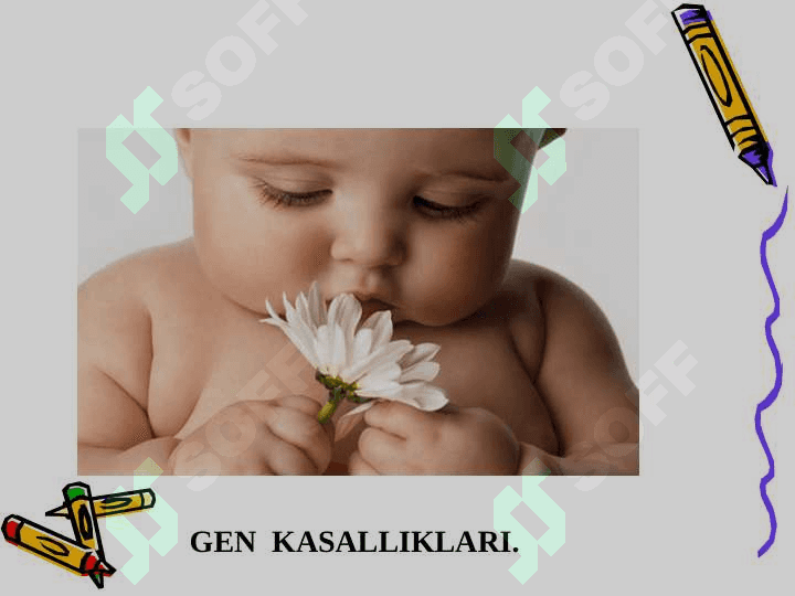 Tuĝma nuqson kasalliklari 2