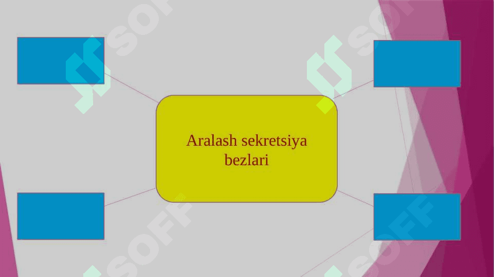Endokrin sistemasining fiziologiyasi 5