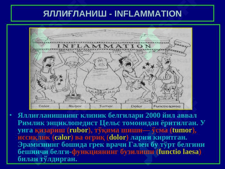 “Яллиғланиш” 3