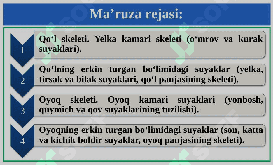Qo‘l va oyoq skeleti suyaklarining tuzilishi. 2