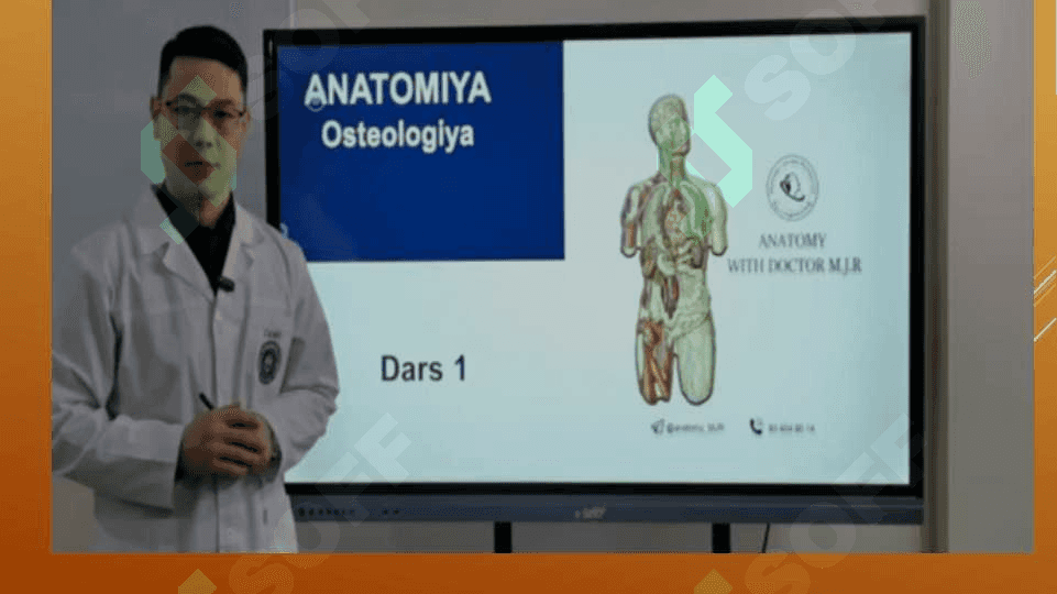 Tana skeleti. Koʻkrak qafasi va umurtqa pogʻonasi suyaklari. 2
