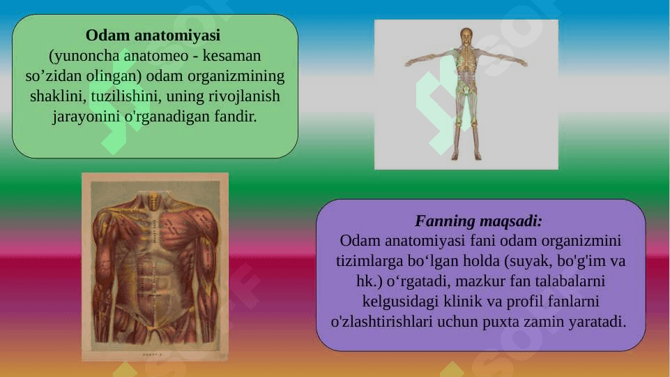 Anatomiya  faniga kirish, maqsad va vazifalari 2