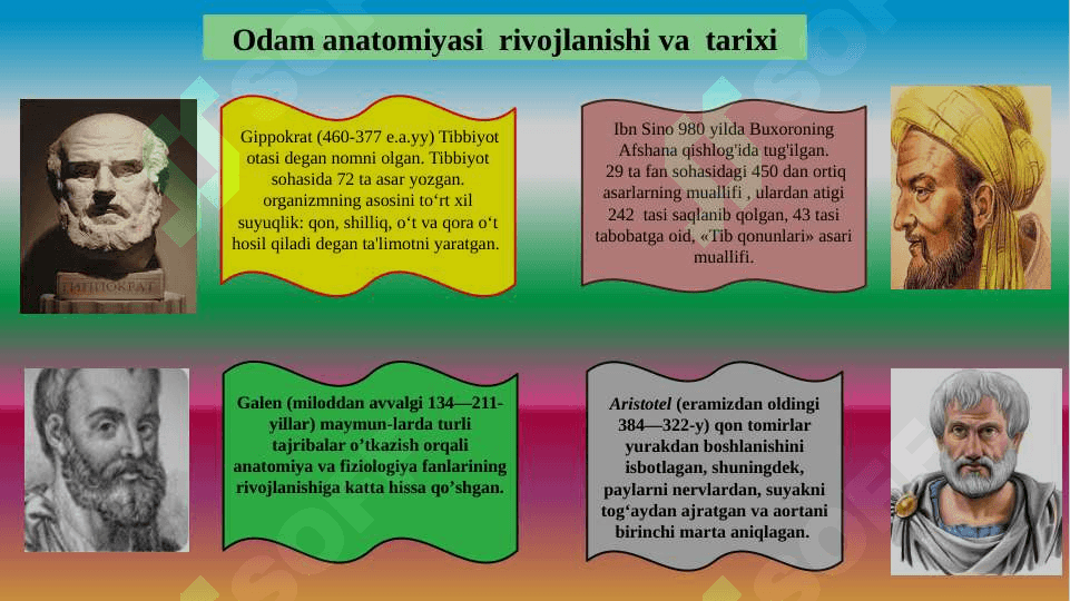 Anatomiya  faniga kirish, maqsad va vazifalari 7